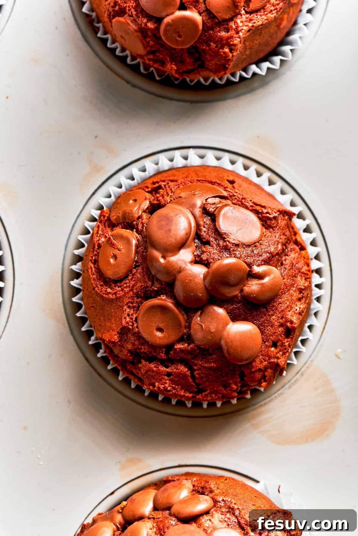 An inviting overhead close-up shot of a single chocolate muffin, showcasing its perfectly domed top studded with melted chocolate chips, resting elegantly.