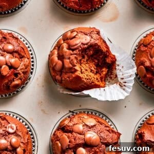 Chocolate muffins in muffin liners.