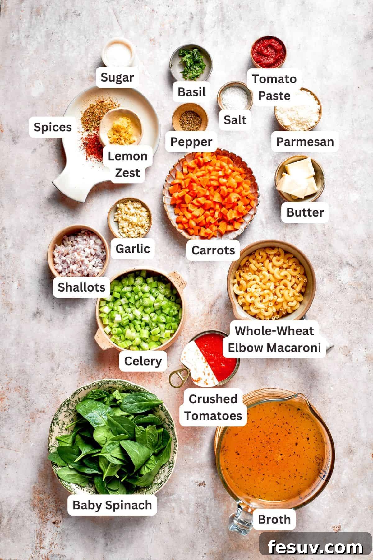 Individual ingredients for Tomato Florentine soup laid out and labeled: butter, shallots, garlic, carrots, celery, tomato paste, broth, crushed tomatoes, Italian seasoning, fresh basil, salt, pepper, red pepper flakes, lemon zest, sugar, Parmesan, macaroni, spinach, and serving garnishes.