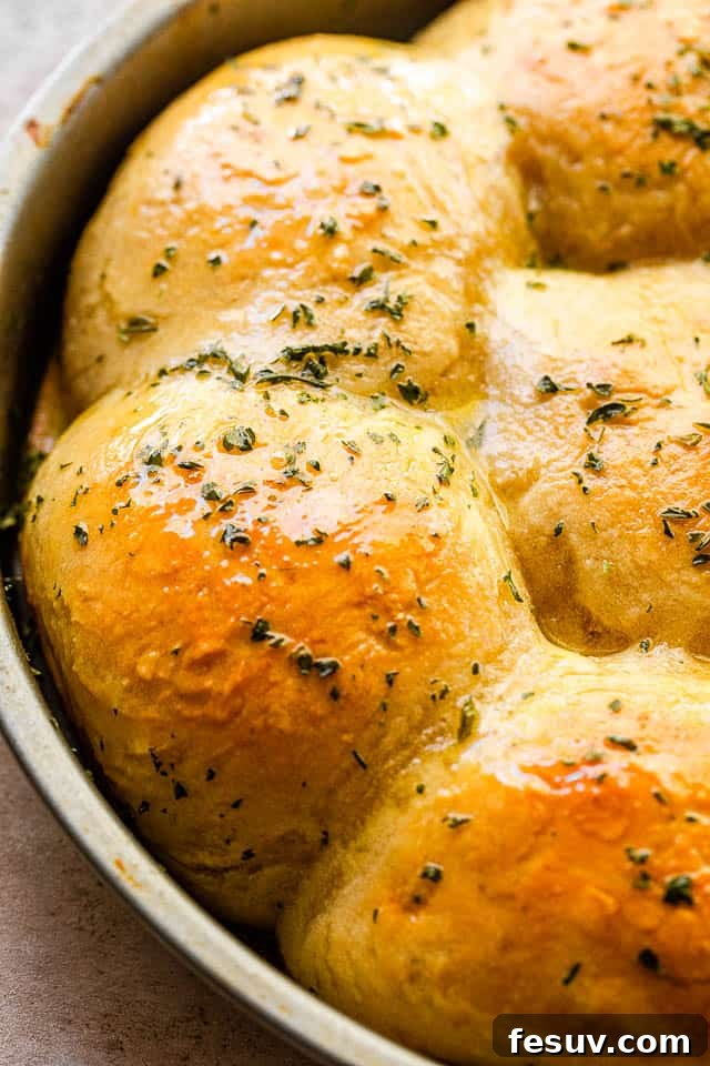 Effortless Artisan Bread 6 side close up shot of baked dinner rolls garnished with fresh parsley