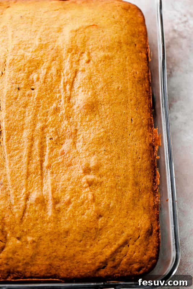 Pumpkin cake batter spread evenly in a baking dish before baking.