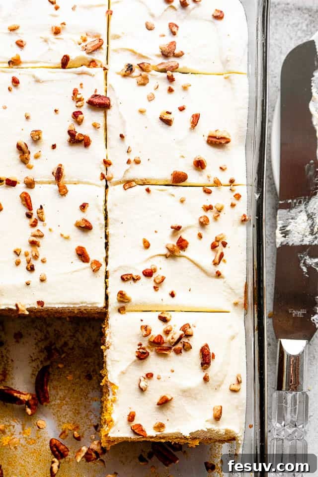 Overhead view of a tray of cream cheese frosted pumpkin cake, sprinkled with chopped pecans.
