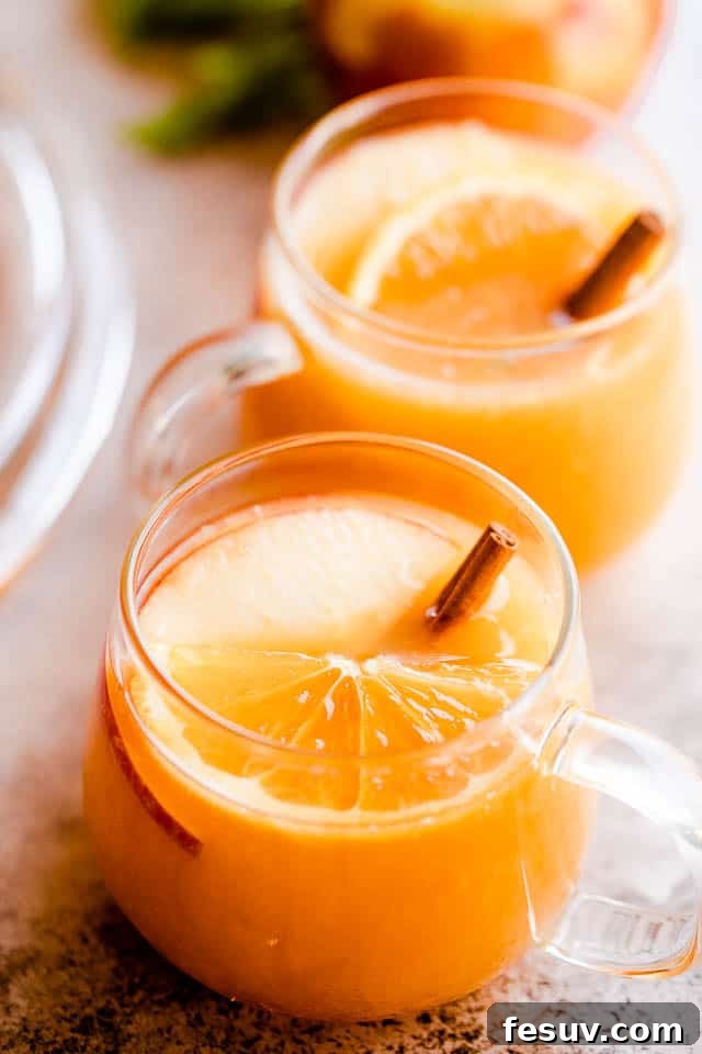 Close-up side shot of two glass mugs filled with warm apple cider punch, each elegantly garnished with a cinnamon stick inside, creating a cozy and inviting scene.