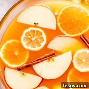 overhead close up shot of apple cider punch in a punch bowl with slices of fruit floating on top
