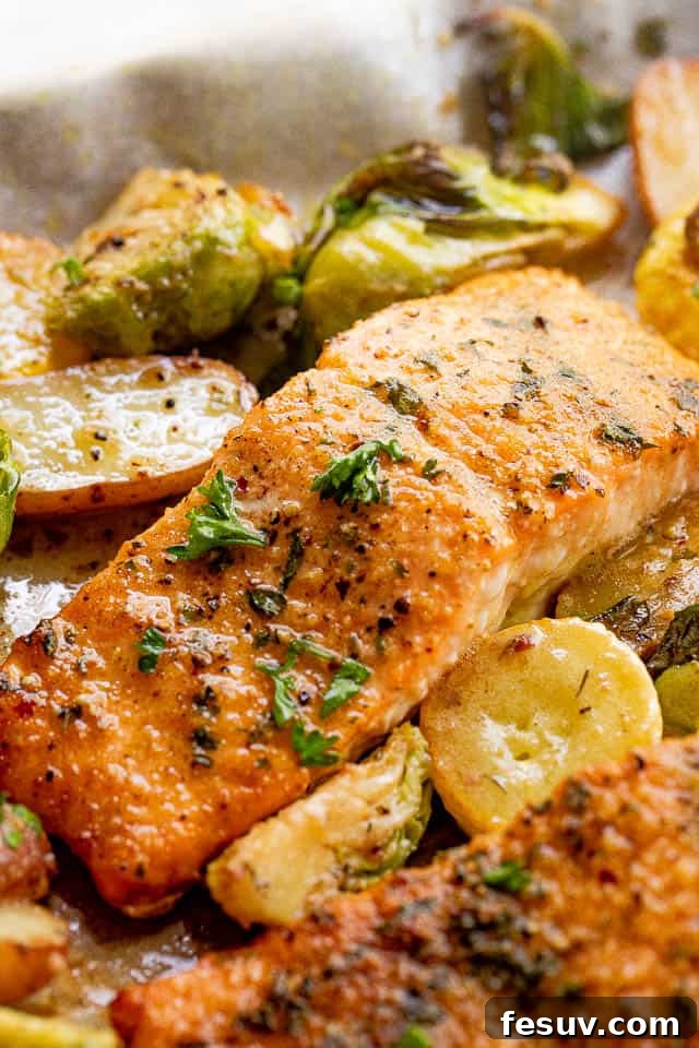 Close-up shot of two perfectly roasted Old Bay salmon fillets, served alongside vibrant green brussel sprouts and bright yellow squash, highlighting the crispy exterior and rich seasoning.