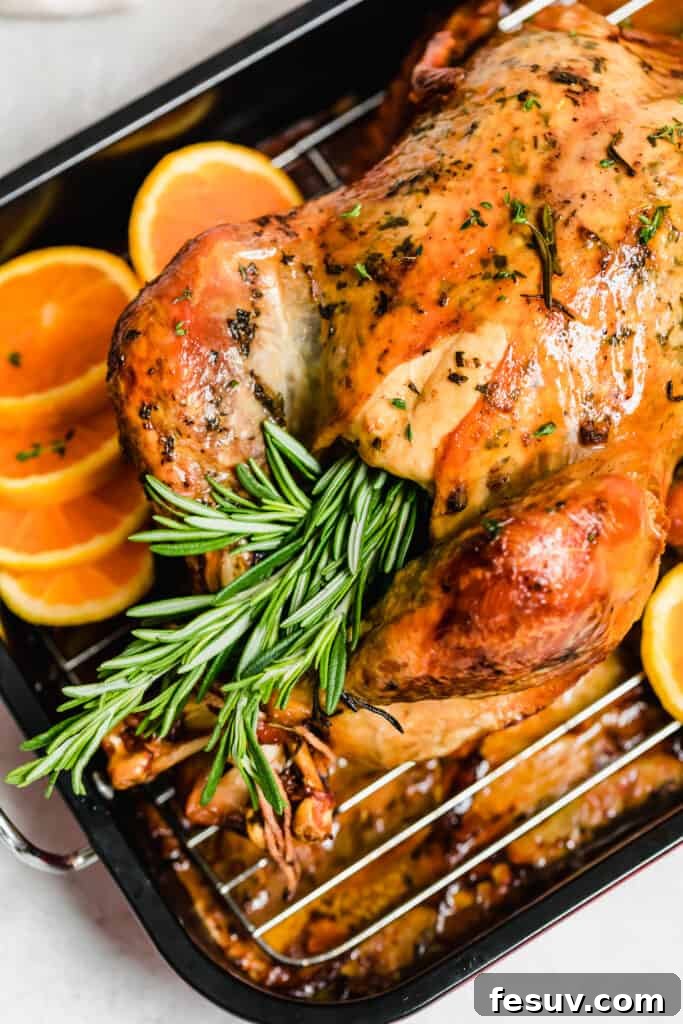 Roasted turkey cavity stuffed with fresh rosemary sprigs and lemon slices.