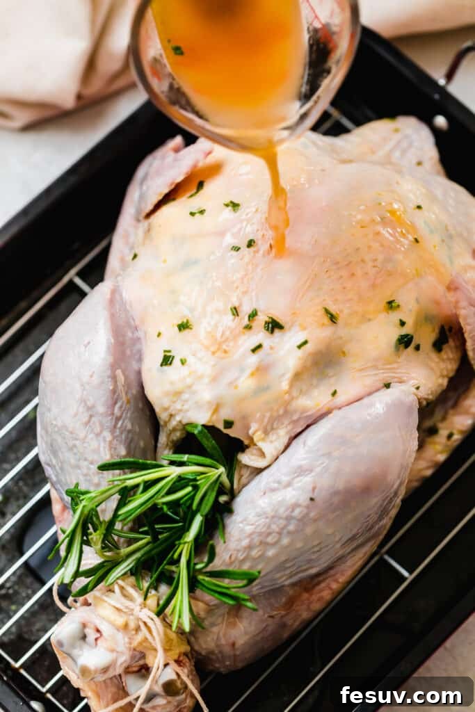 Uncooked turkey in a roasting pan with rosemary and onion halves visibly placed in its cavity.