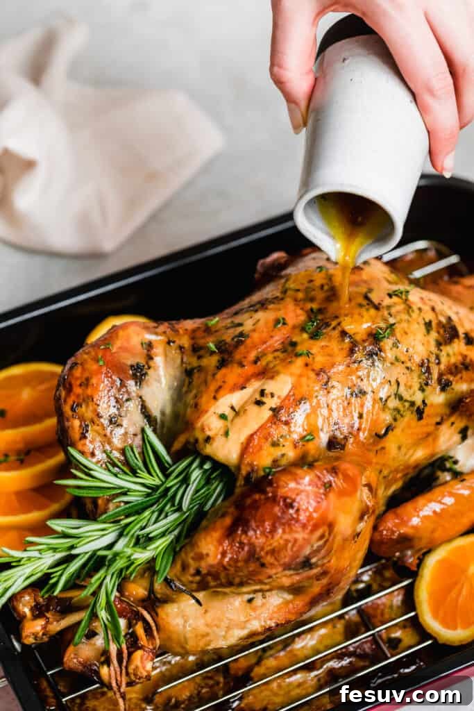 A whole roasted turkey being basted with pan juices inside a roasting pan.