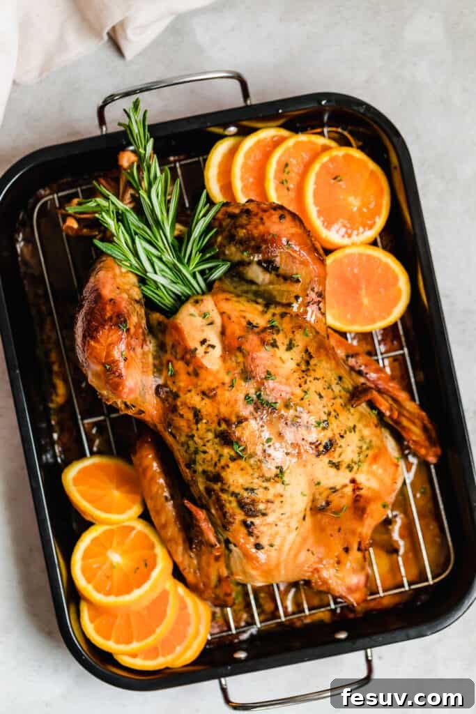 A whole roasted turkey garnished with fresh rosemary and orange slices in a roasting pan.