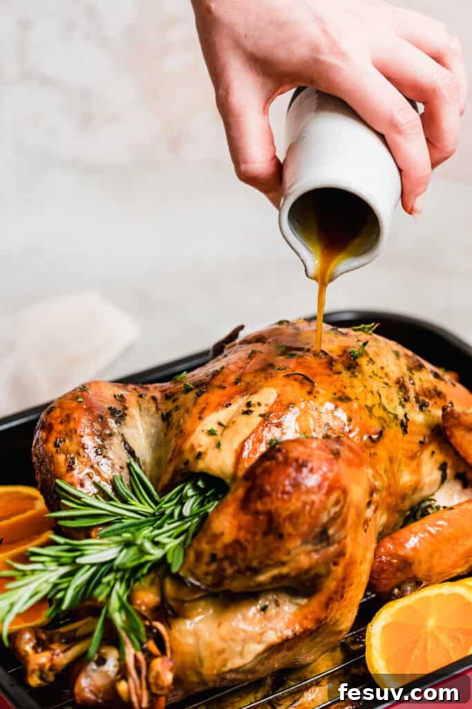 Close-up shot of a roasted turkey being basted with its own pan drippings.