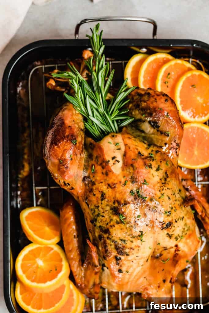 Overhead shot of a whole roasted turkey presented on a large platter in a roasting pan.
