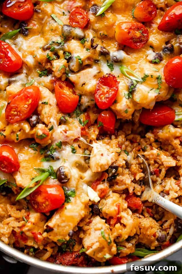 Close up shot of chicken and rice burrito skillet topped with grape tomatoes.