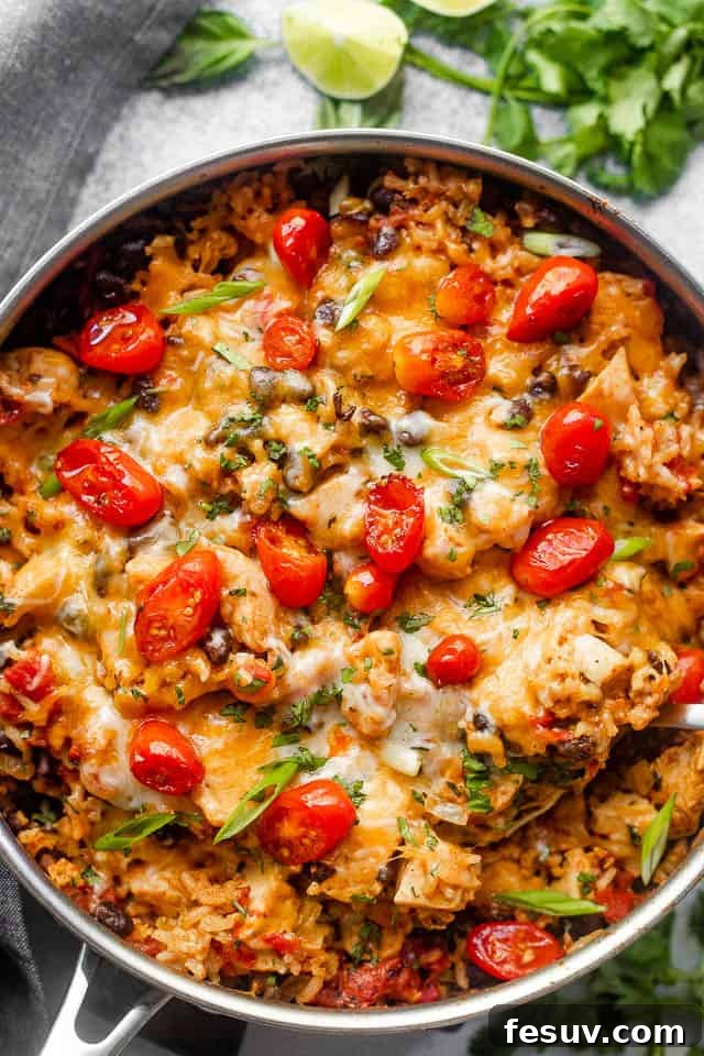 Overhead shot of chicken and rice burrito skillet topped with grape tomatoes.