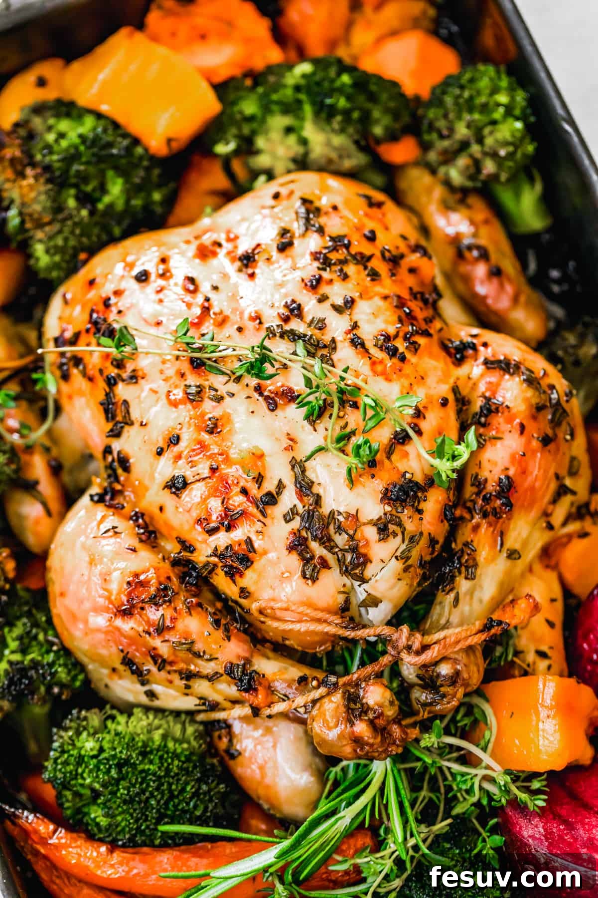 Golden Autumn Roast Chicken with Rustic Root Vegetables 2 overhead close up shot of whole roast chicken with autumn vegetables.