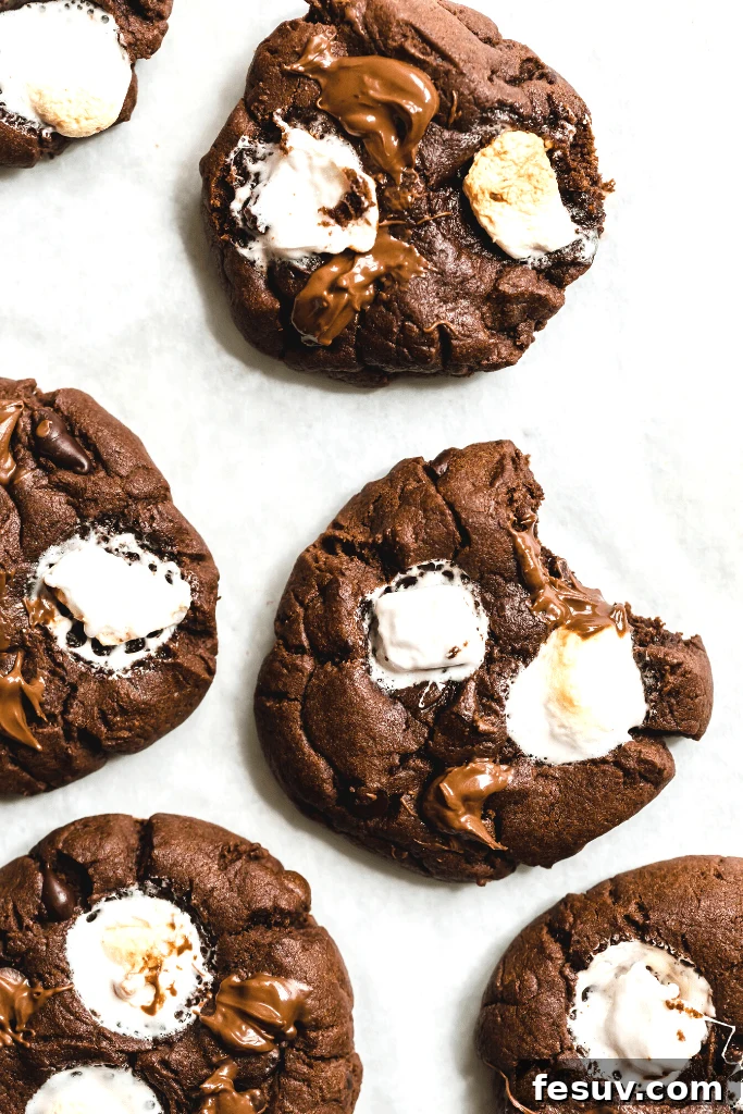 Delightful Hot Chocolate Sugar Cookies with chocolate chips and mini marshmallows