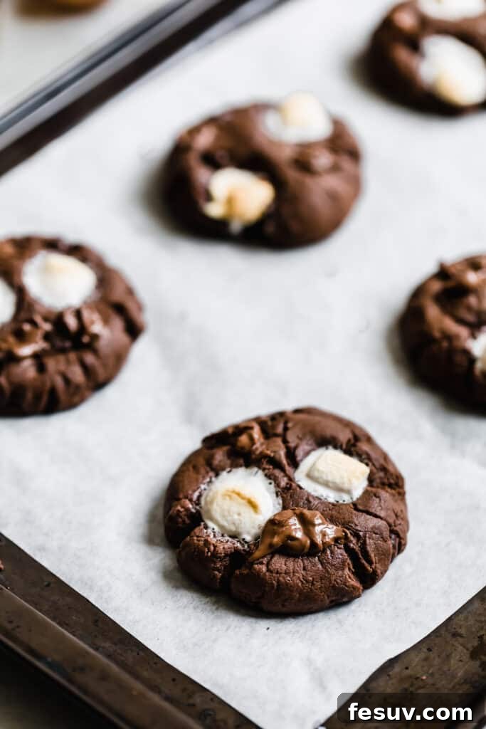 A Close-Up Shot of a Warm Hot Chocolate Sugar Cookie with melted marshmallows on a Baking Sheet