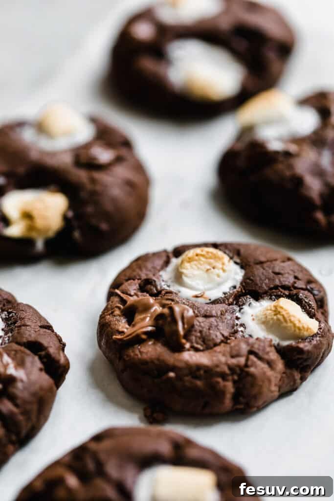 Six Hot Chocolatey Sugar Cookies with Mini Marshmallows on a wire rack