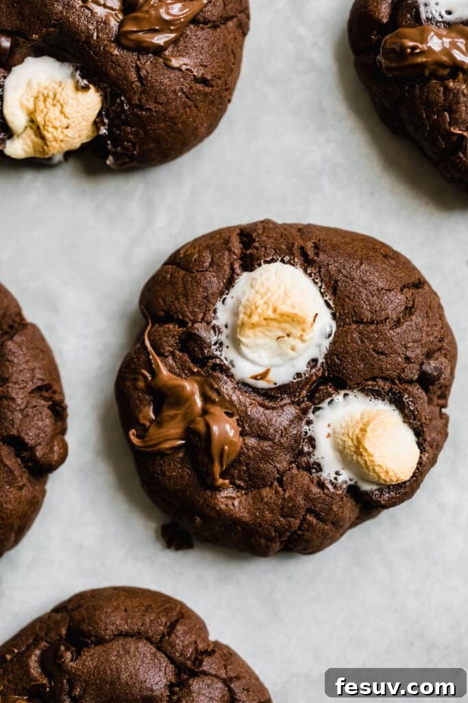 A Hot Chocolate Cookie with Two Toasted Marshmallows on Top