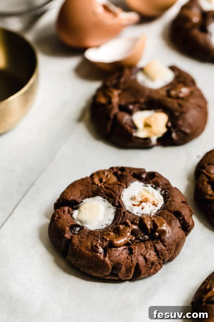 A Freshly-Baked Hot Chocolate Sugar Cookie cooling on the counter