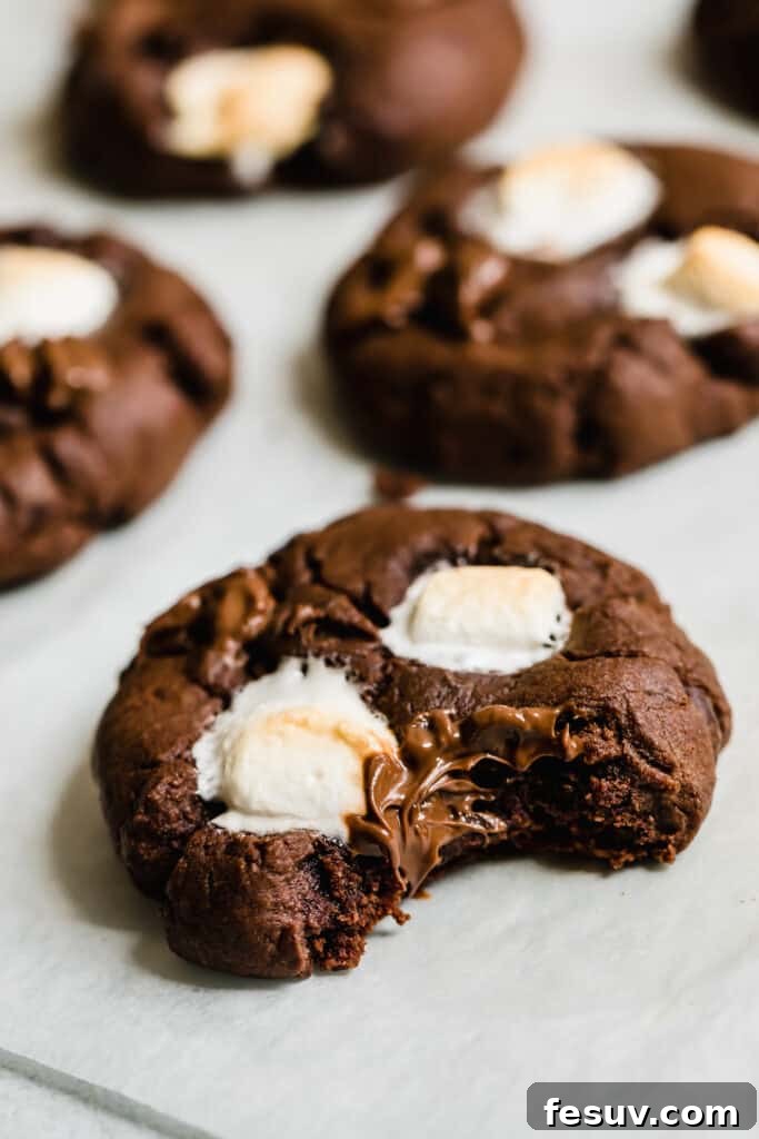 A Bitten Hot Chocolate Sugar Cookie on a white surface, revealing its soft interior
