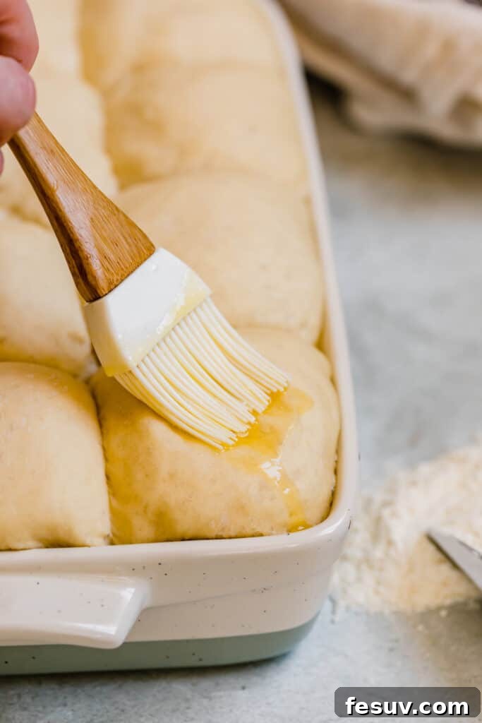 Melted butter being brushed onto risen Parmesan Dinner Roll dough just before baking, enhancing flavor and color