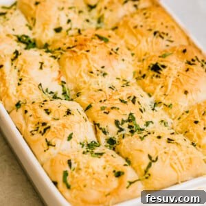 Twelve freshly baked Dinner Rolls in a Pan on the Countertop
