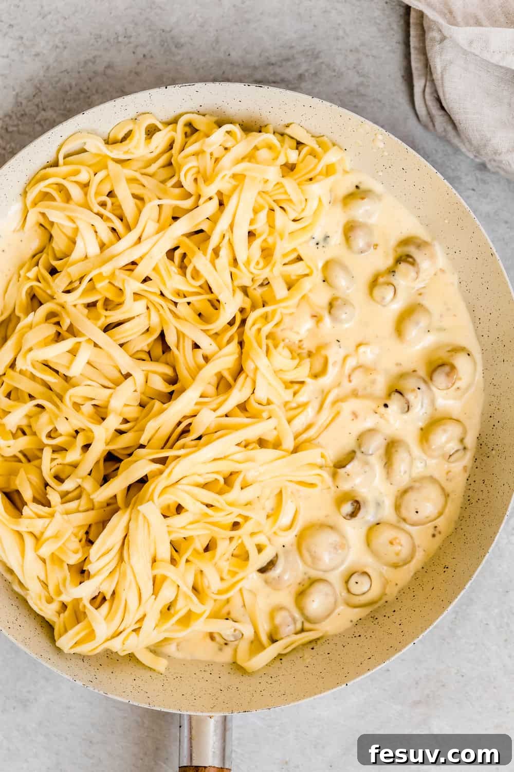 Noodles and Mushrooms in a Bowl with Homemade Alfredo Sauce