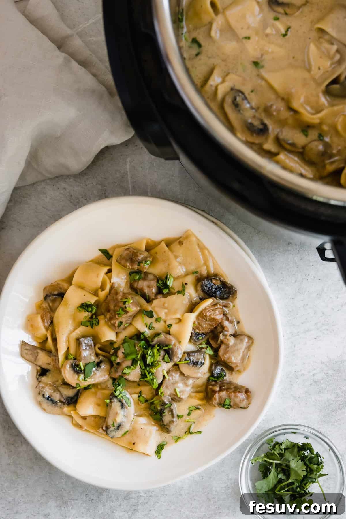 Effortless Creamy Instant Pot Beef Stroganoff 3 A Plate of Beef Stroganoff Beside a Pressure Cooker Filled with the Rest, showcasing the creamy texture.