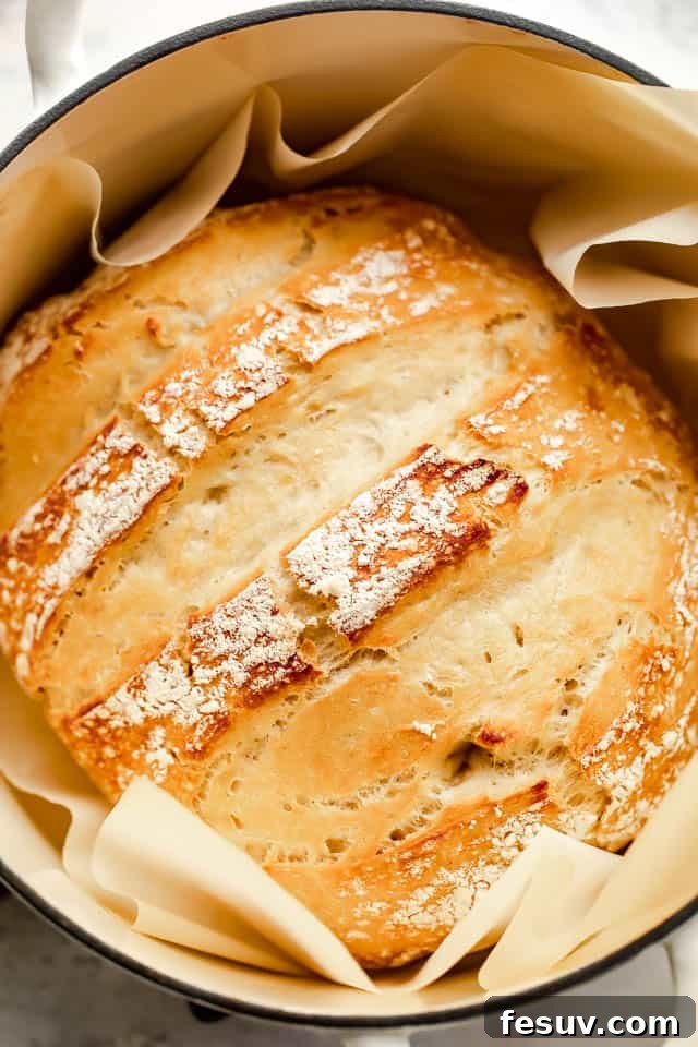 baked dutch oven bread, golden brown and crusty