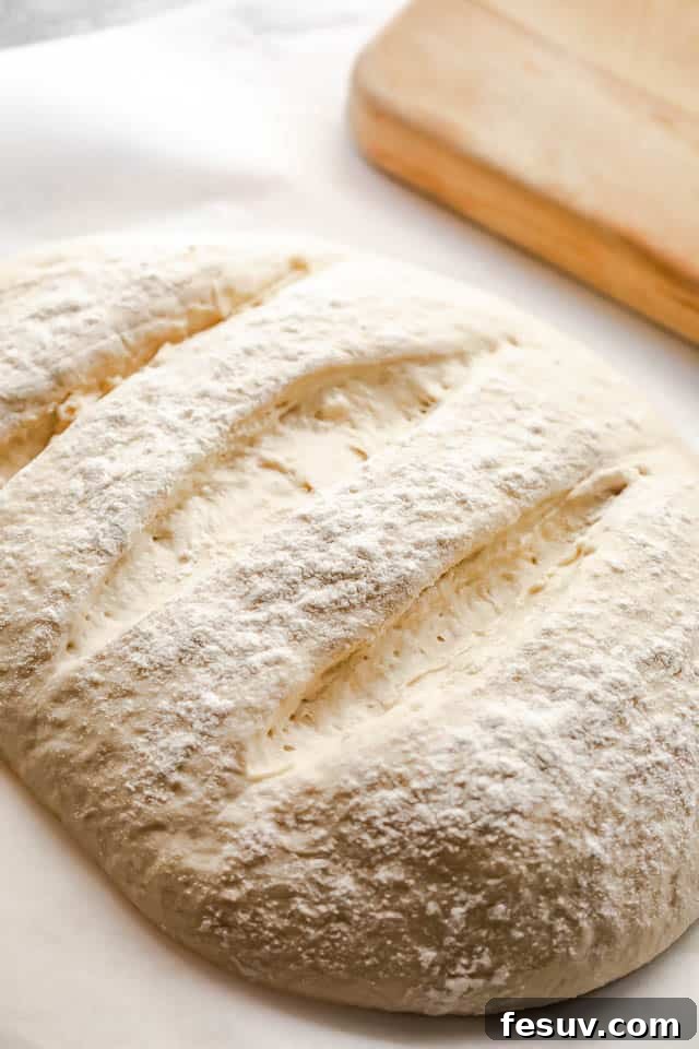 shaped dough for baking bread on parchment paper