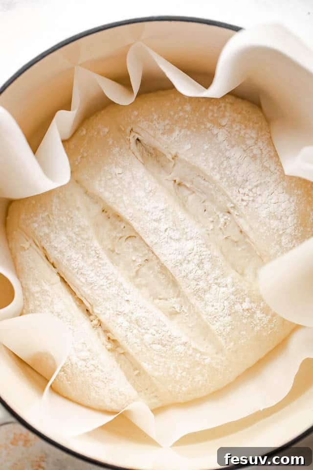 dough for bread in a dutch oven, ready for baking