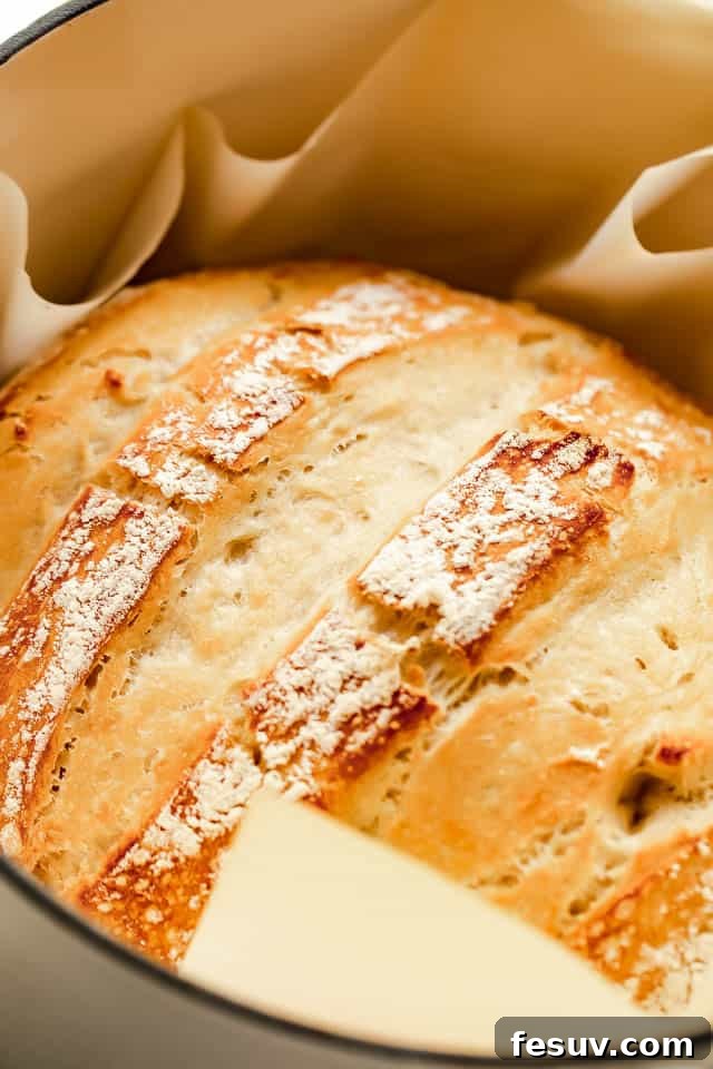 side shot of a bread cooked in dutch oven, showing crispy crust