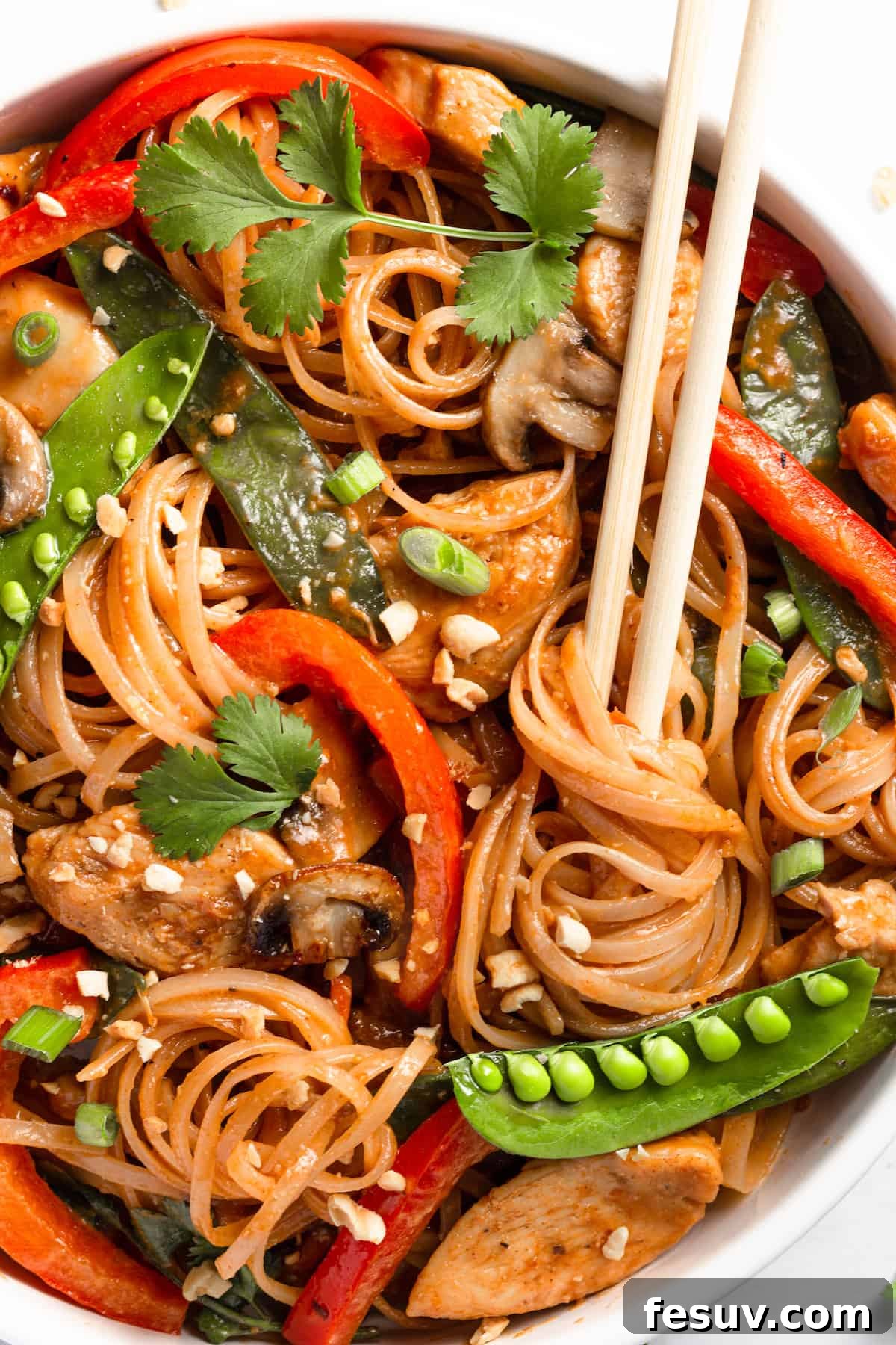 Flavorful Chicken Noodle Stir-Fry 2 Chicken Lo Mein in a Bowl with a Pair of Wooden Chopsticks