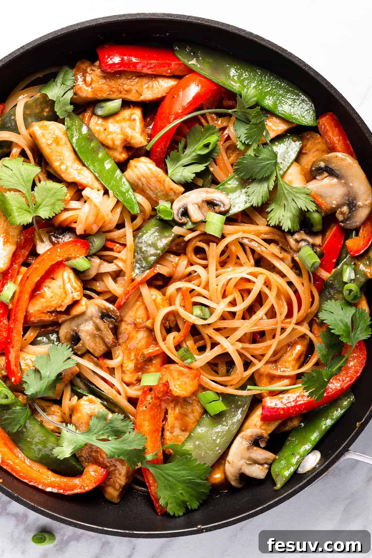 Flavorful Chicken Noodle Stir-Fry 3 Chicken Lo Mein with Veggies in a Black Skillet on the Counter