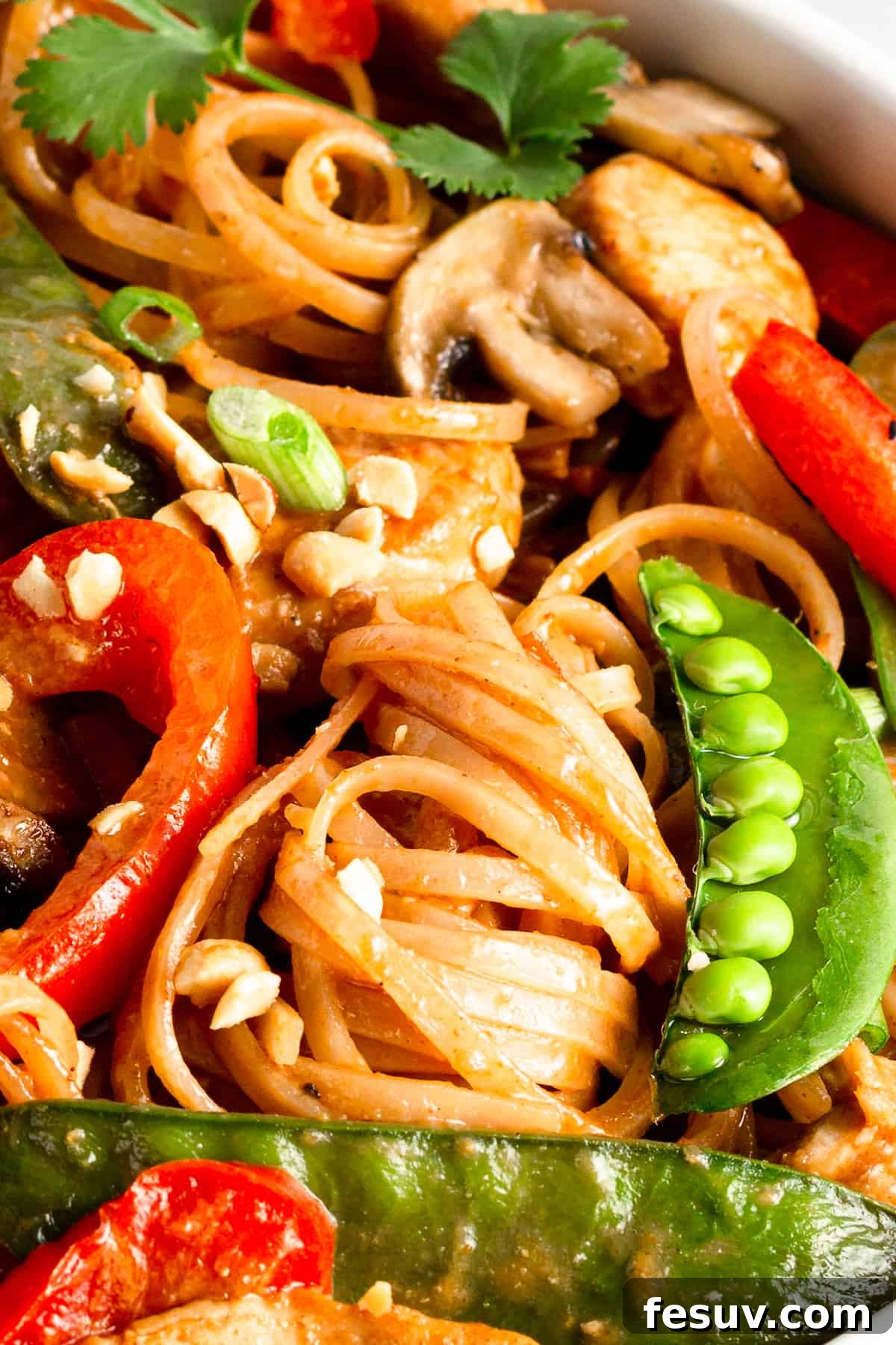 Flavorful Chicken Noodle Stir-Fry 6 A Close-Up Image of Chicken Lo Mein with Veggies