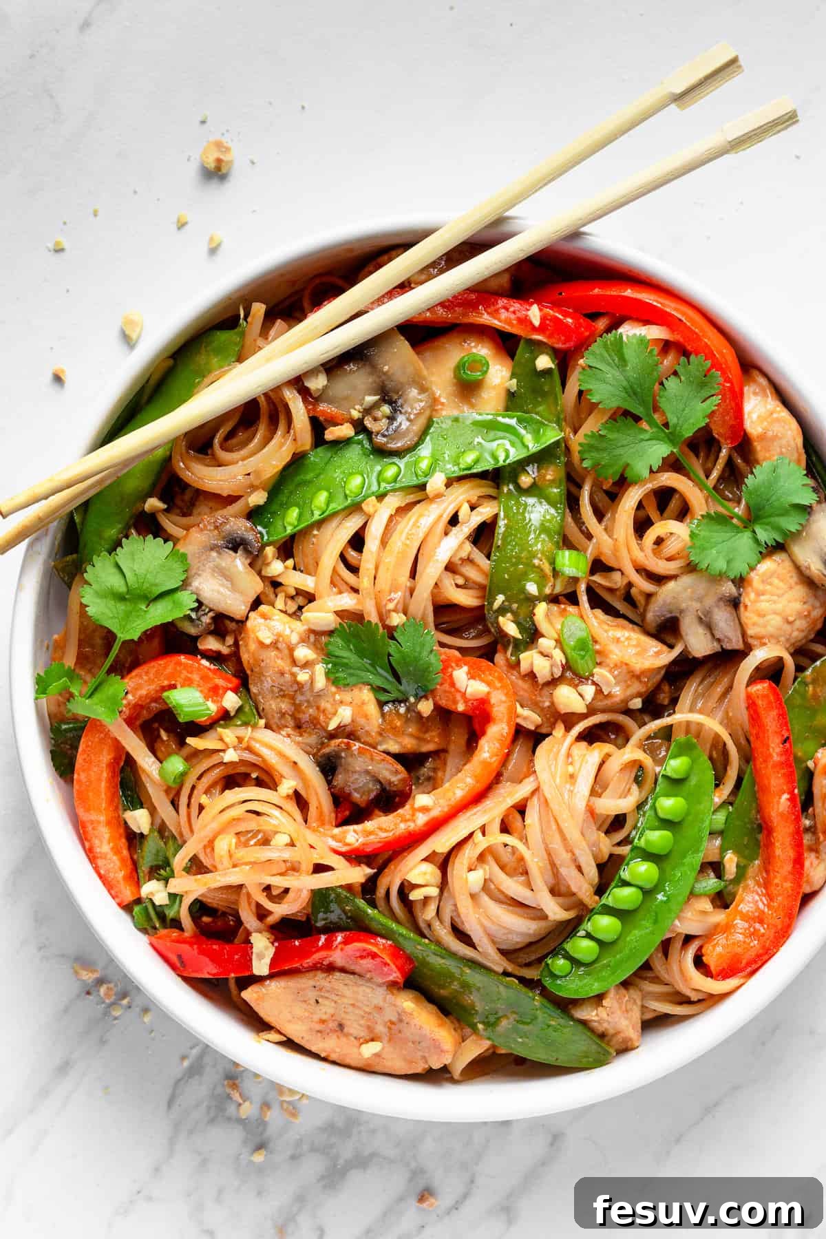 Flavorful Chicken Noodle Stir-Fry 7 A Bowl of Chicken Lo Mein with a Pair of Chopsticks Resting on the Rim