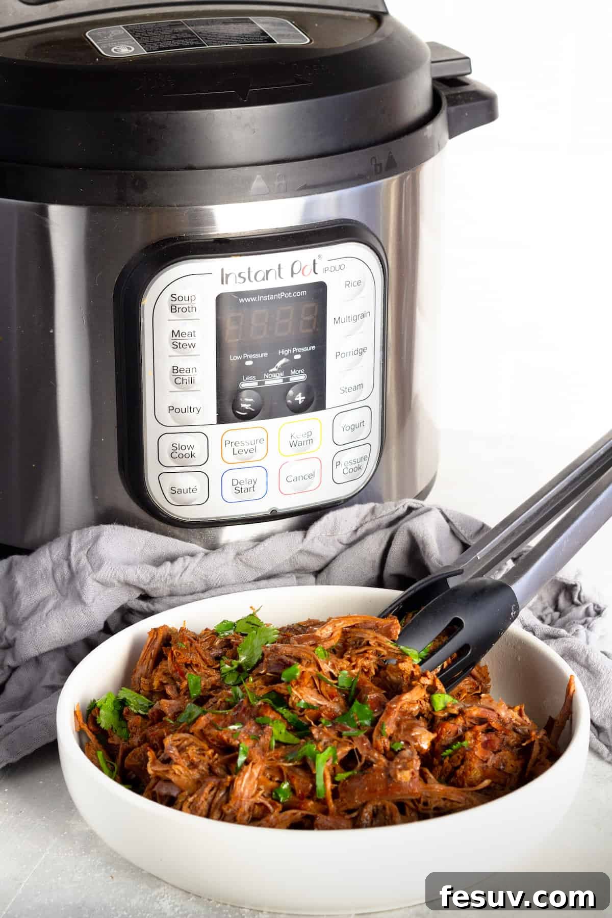 A Bowl of Beef Barbacoa in Front of an Instant Pot and a Gray Kitchen Towel