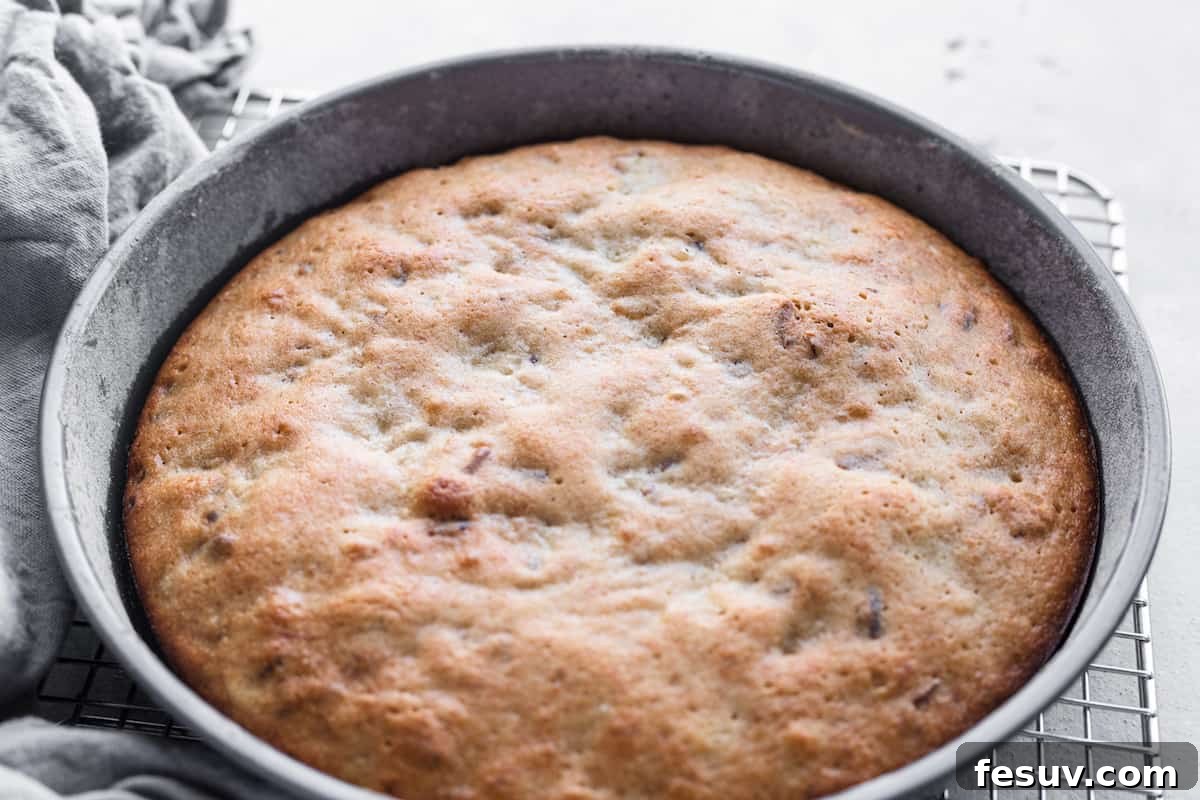 A close-up of a freshly baked, golden-brown cake layer cooling on a metal rack.