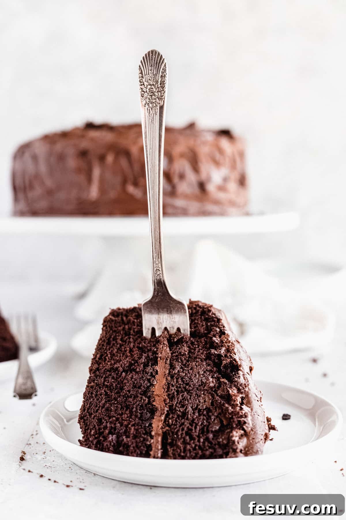 A delectable slice of moist chocolate cake on a white plate with a fork