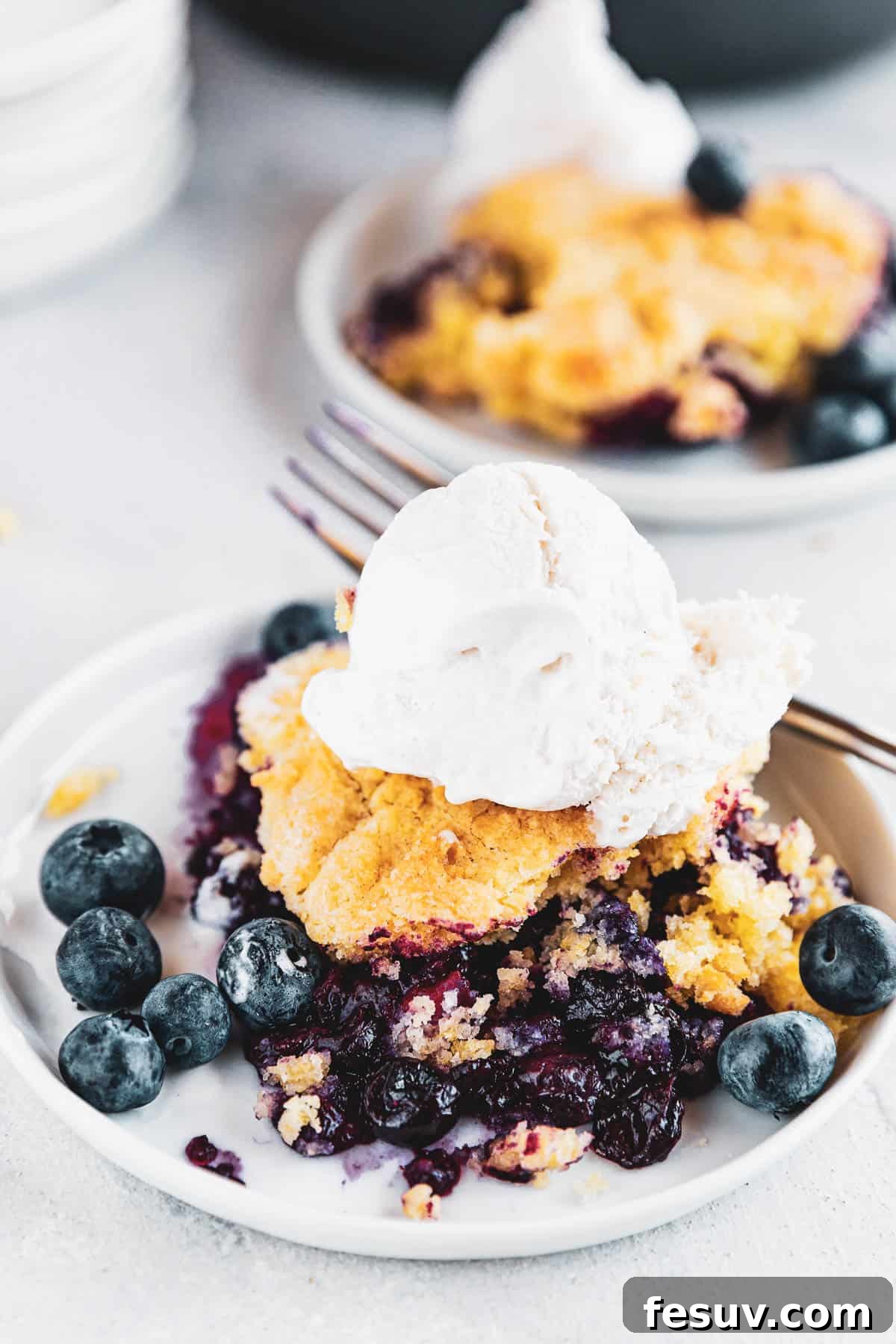 Blueberry Rhubarb Cobbler served on a plate and topped with ice cream scoop