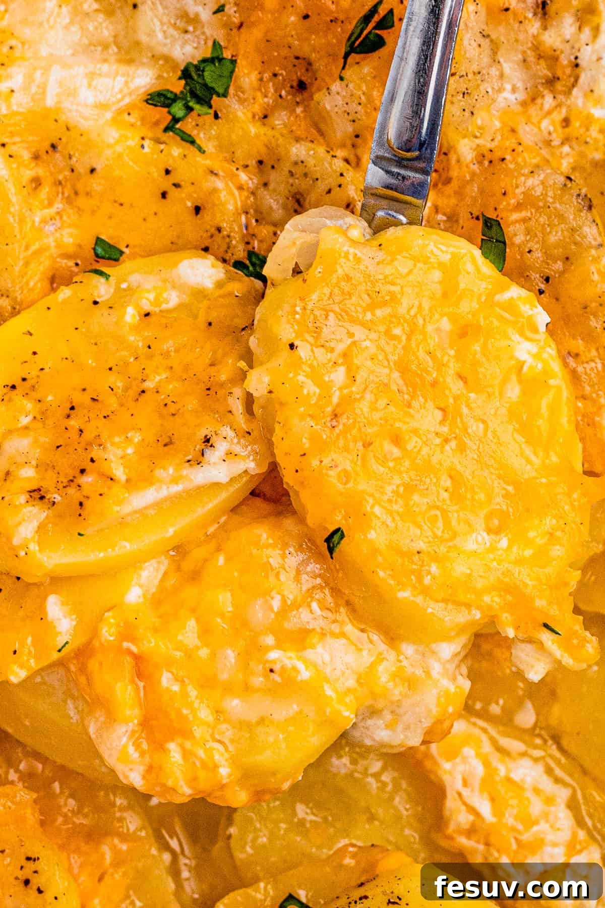 Tender sliced potatoes layered with cheddar cheese and diced onions to make a scalloped potatoes casserole. Close-up of a spoon holding a portion of scalloped potatoes, showing the tender layers and melted cheese.