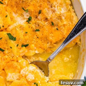 Golden Creamy Potato Bake 2 scalloped potatoes in a white casserole dish with a spoon inside the dish