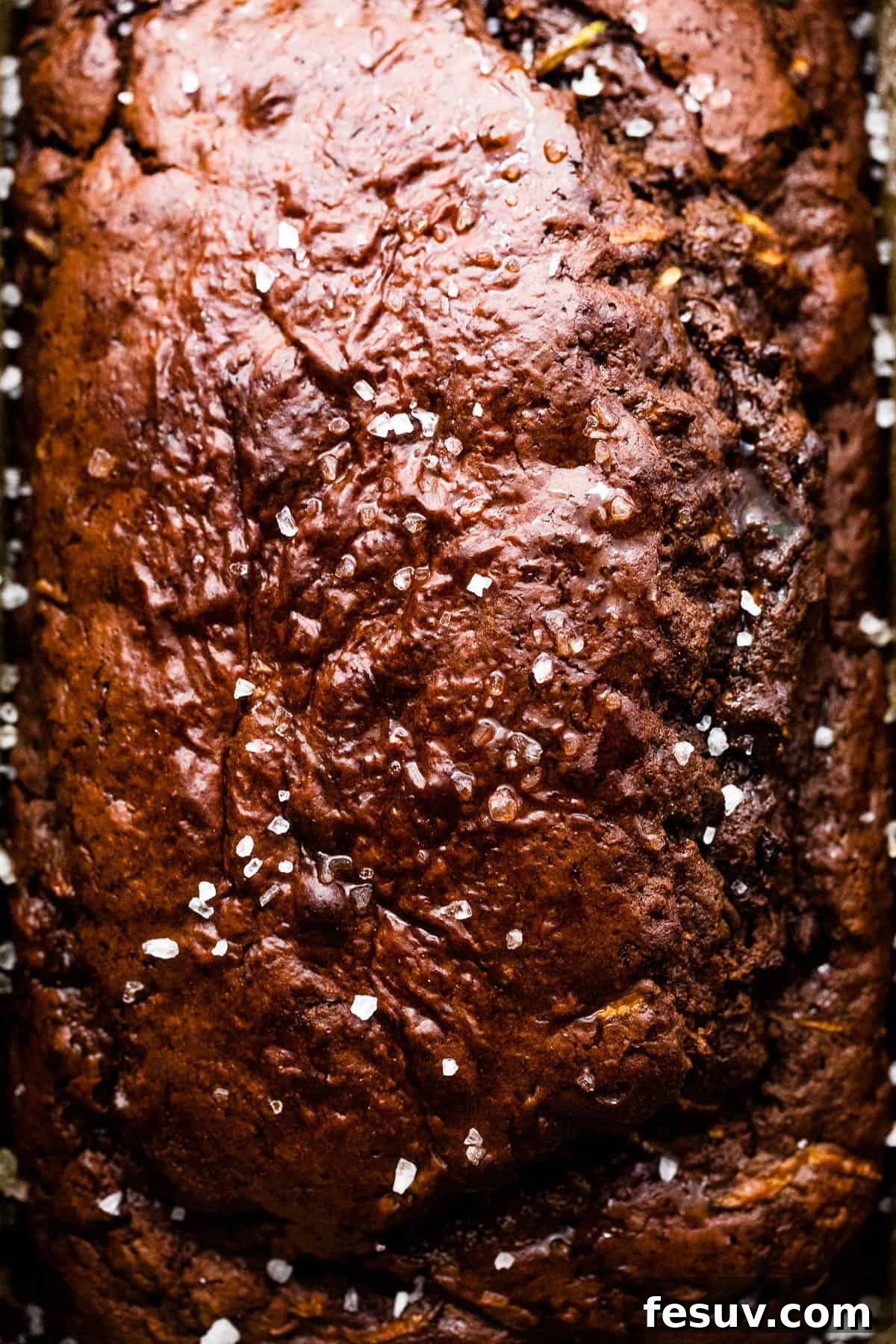 up close shot of baked chocolate zucchini bread in a loaf pan, showing its moist texture