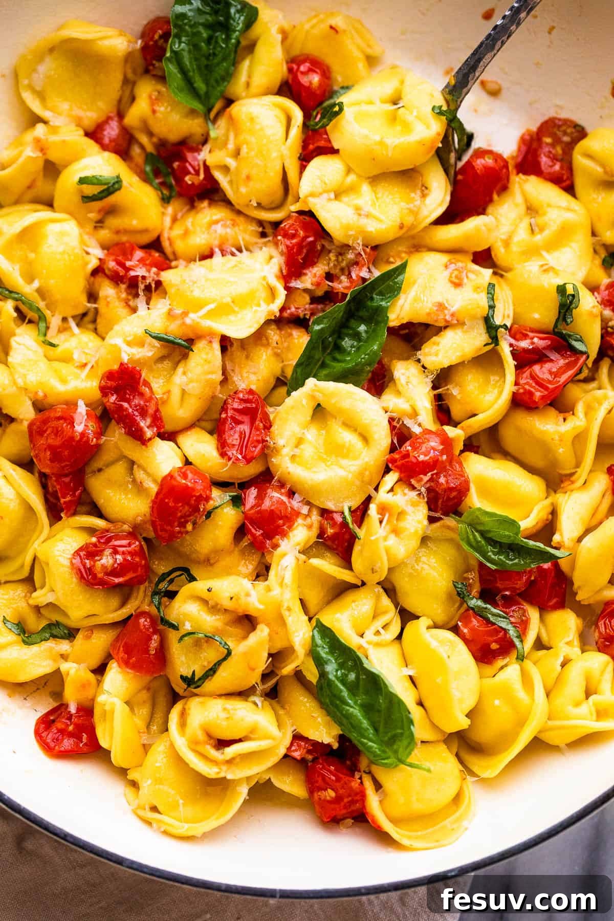 Blistered Tomato Tortellini 2 tortellini pasta tossed with cherry tomatoes and garnished with basil leaves