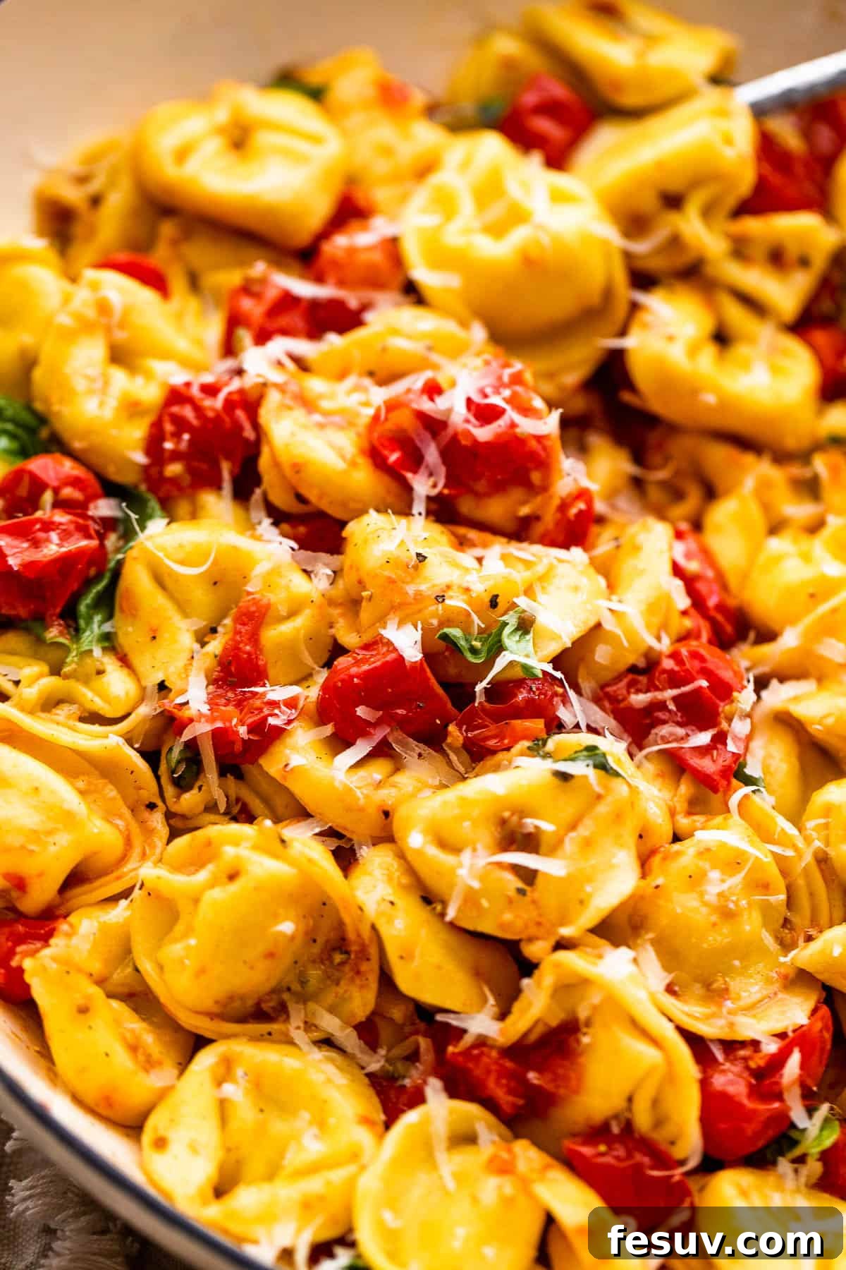 Blistered Tomato Tortellini 3 cheese tortellini with roasted cherry tomatoes and fresh parmesan cheese