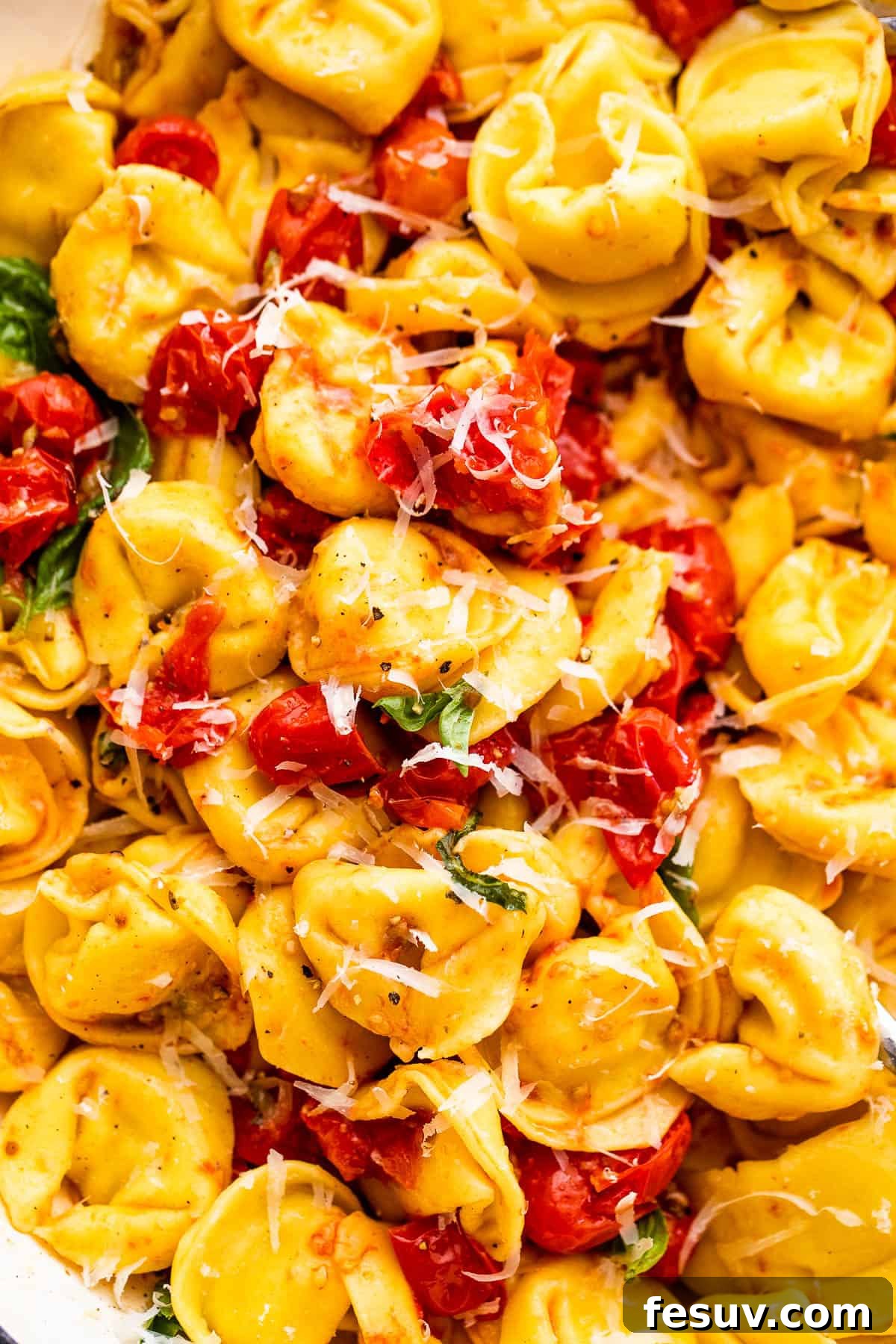 Blistered Tomato Tortellini 6 cheese tortellini with roasted cherry tomatoes and fresh parmesan cheese