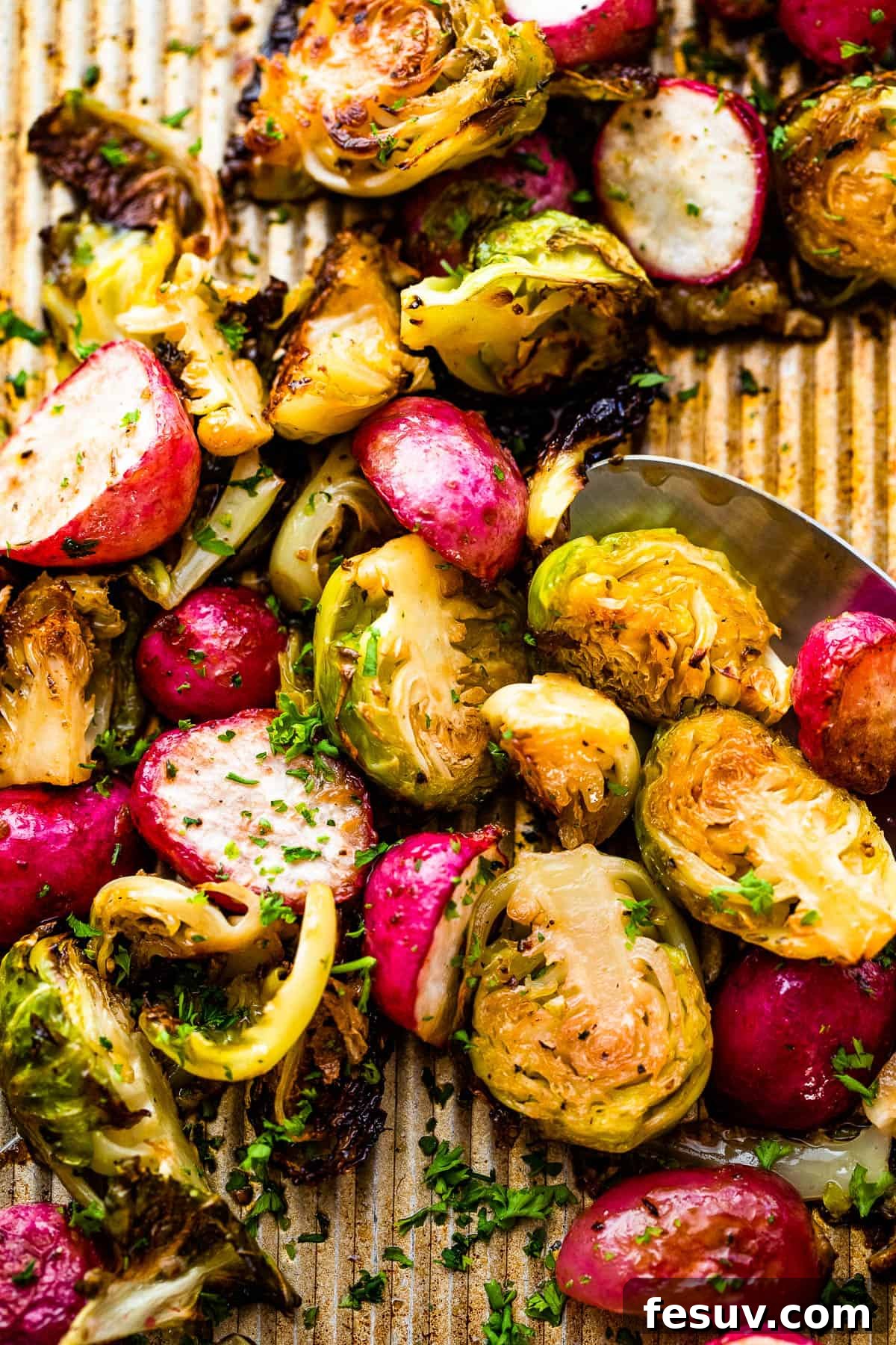 Crispy Roasted Brussels Sprouts and Radishes 2 Close up shot of halved Roasted Brussels Sprouts and Radishes on a baking sheet, showcasing their crispy edges and vibrant colors.
